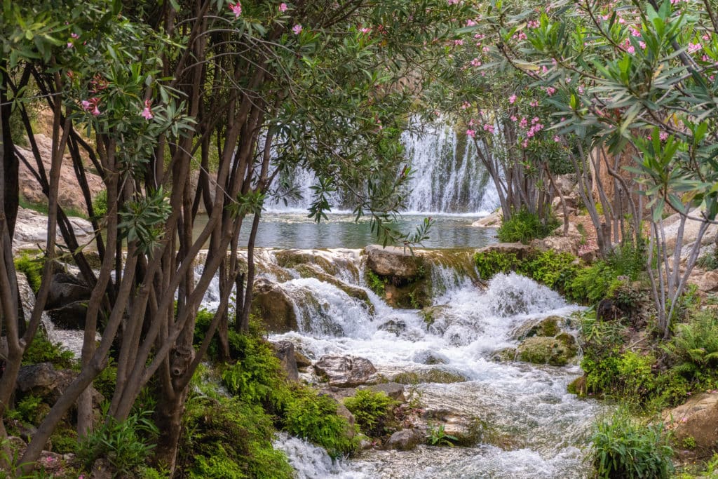 Fuentes del Algar