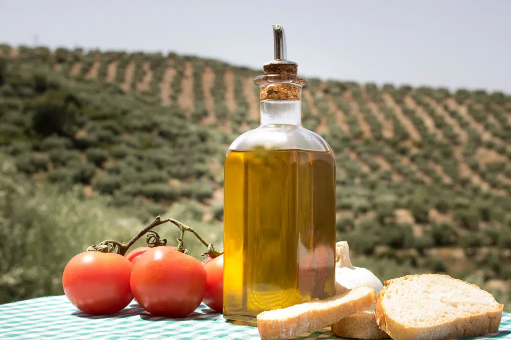 Ruta gastronómica del aceite de Jaén