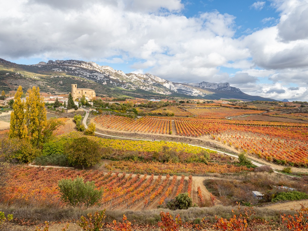 Samaniego, Rioja Alavesa