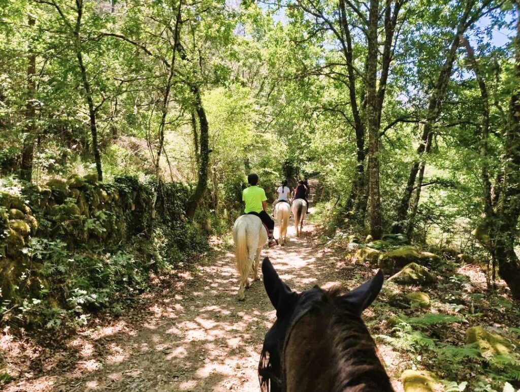 El Ranchito Ecuestre