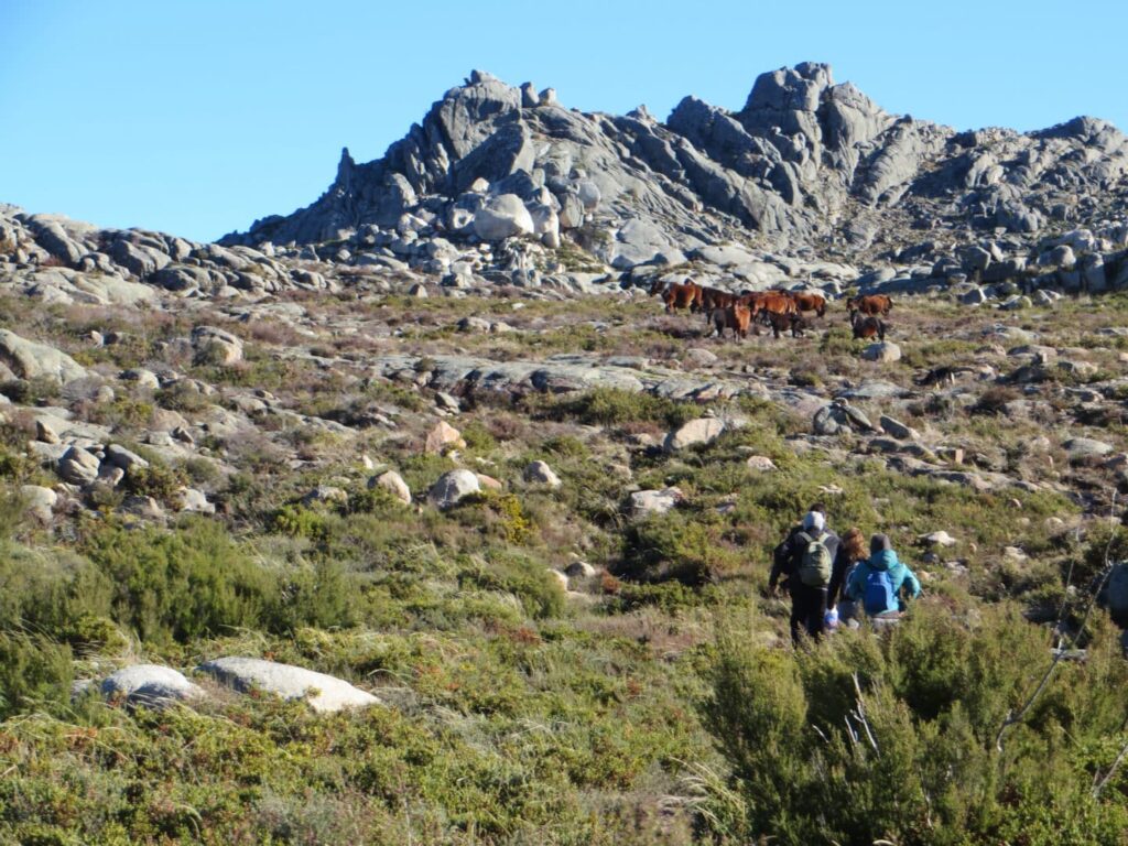 Ecoexperiencia descubriendo el Xurés