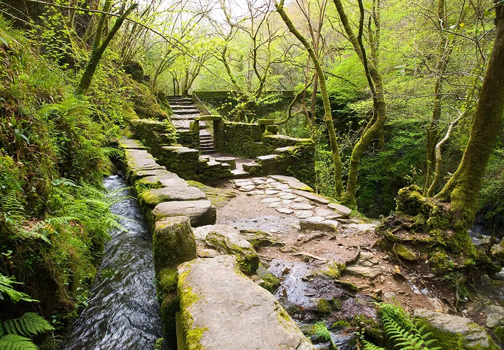 Las Fragas do Eume, una de las rutas donde sentir el fresco.