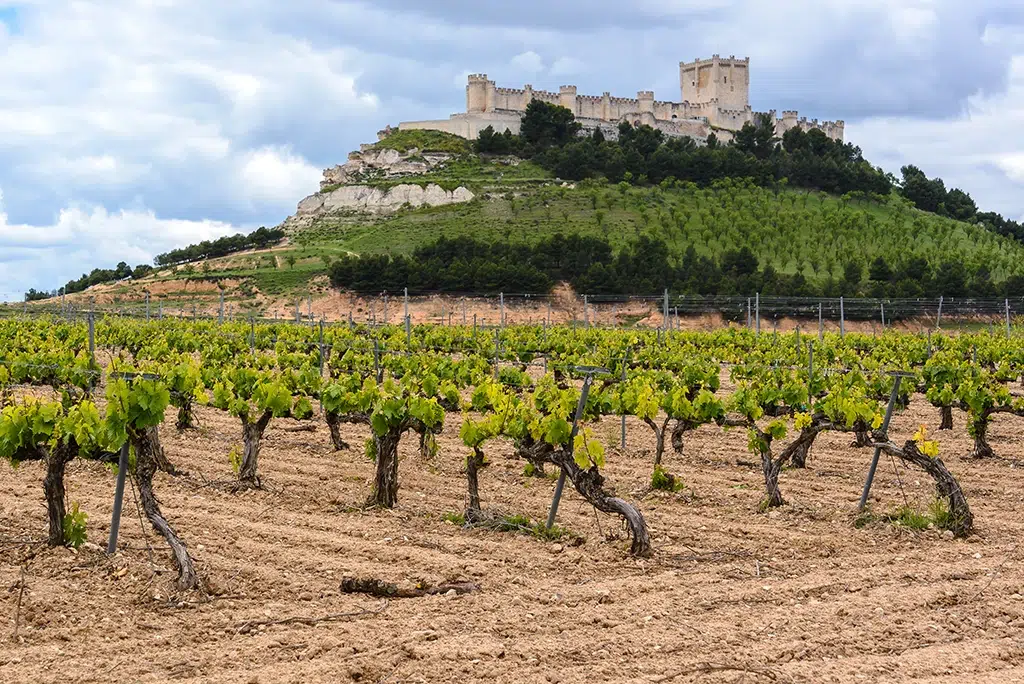 Castillo de Peñafiel