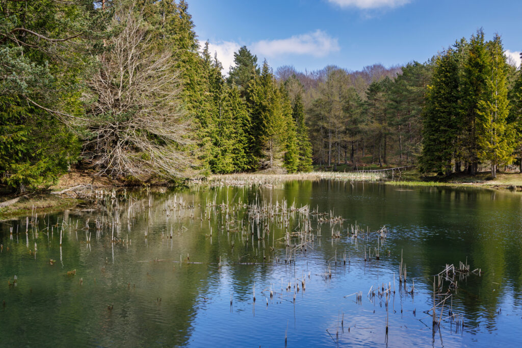 Presa de Iturbeltz, en la Sierra de Entzia. Por cbruzos