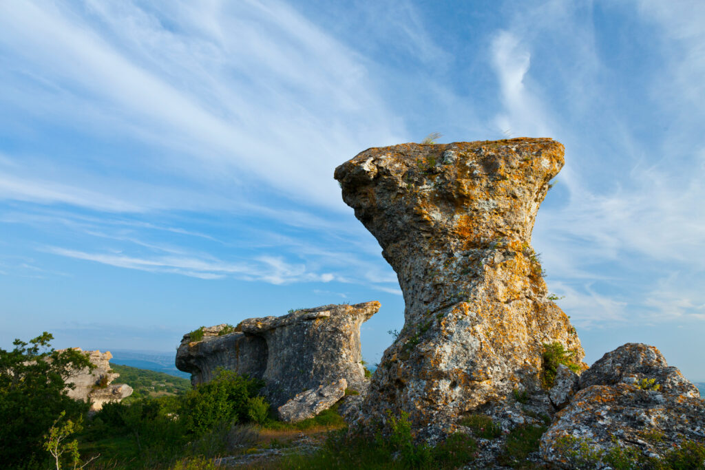 Las Tuerces, Palencia