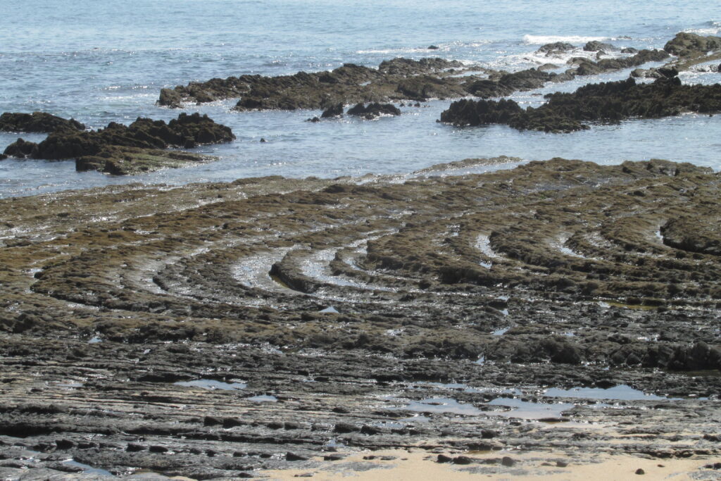 Estructuras tipo flysch en el Sur de Portugal