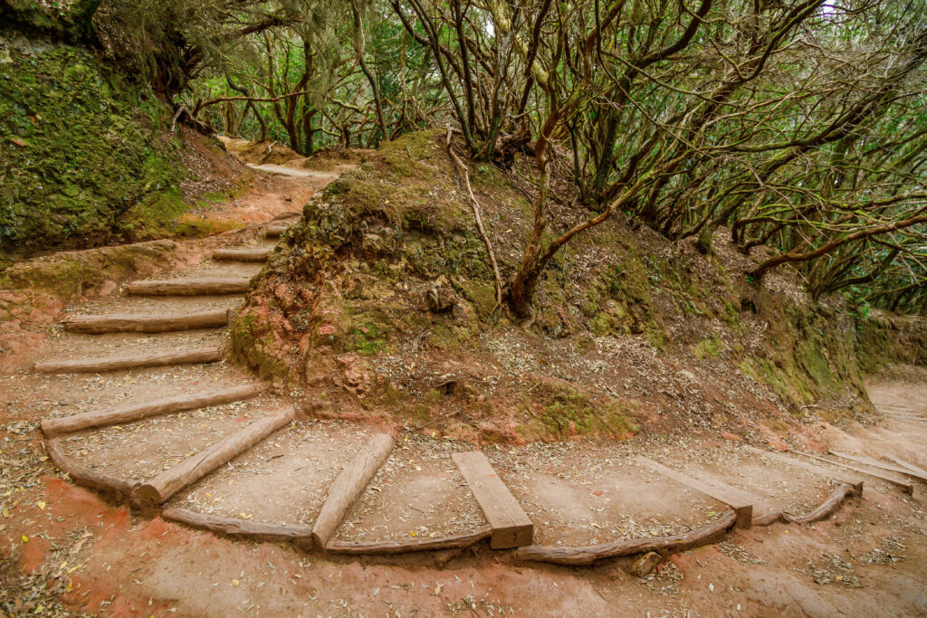 Parte del Sendero de los Sentidos. Por Anna Lurye.