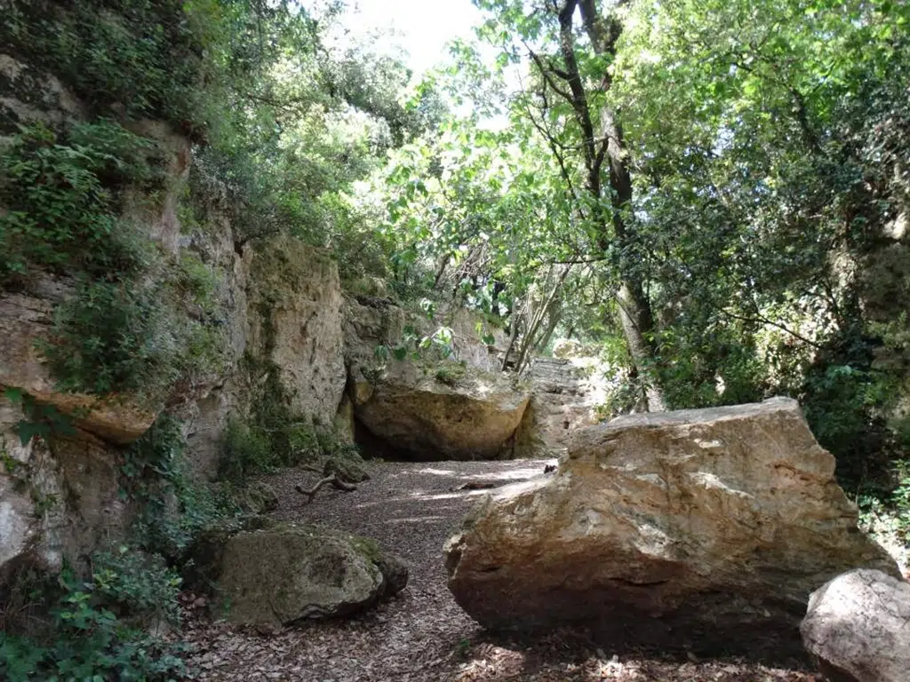 El bosque encantado de Les Estunes.