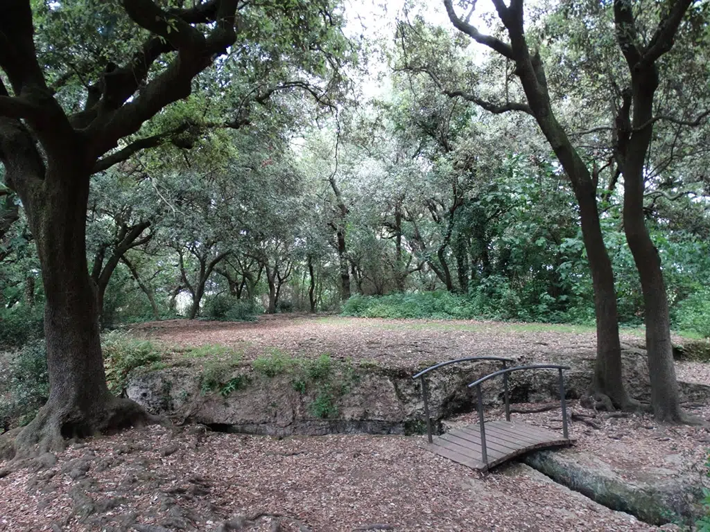 El bosque de Les Estunes incluye una ruta para niños con mucho encanto.