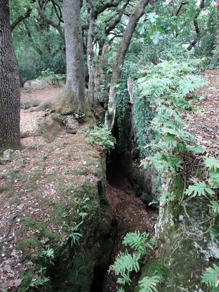 ¿Seremos capaces de encontrar el rastro de las Hadas del Agua en el bosque de Les Estunes?