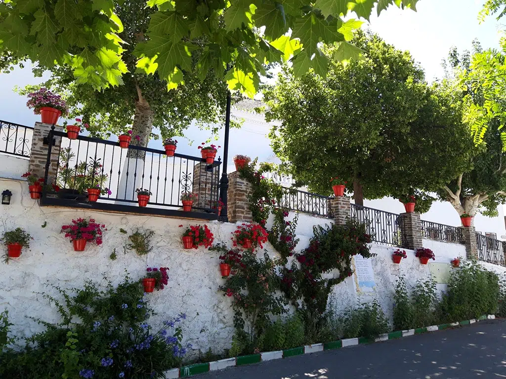 Una de las calles de Cáñar, en la Alpujarra de Granada. Por Antonio Funes