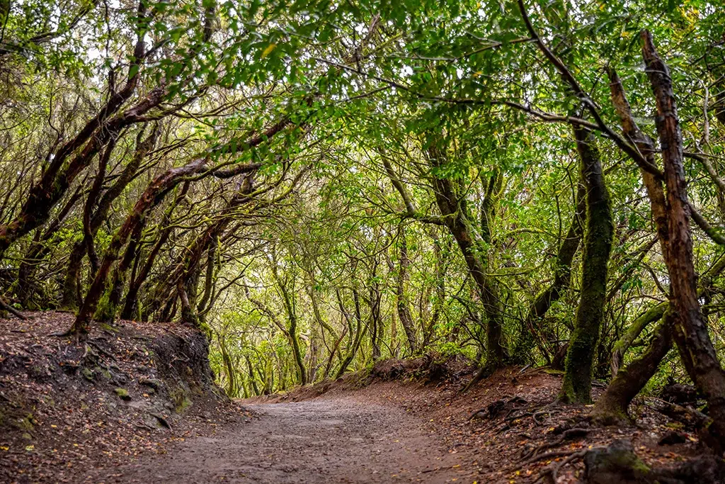 Parque Rural de Anaga