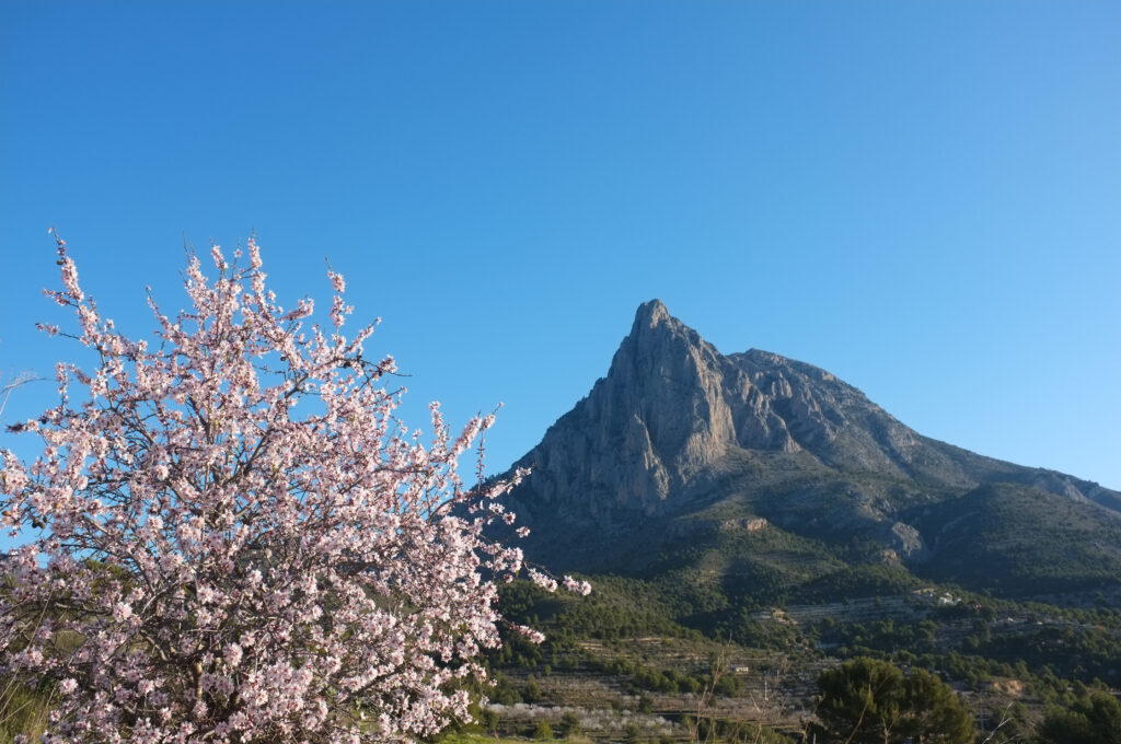 Montaña Puig Campana de Alicante | Por Olaf Speier