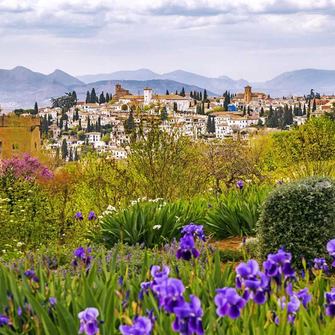 Primavera en Granada. Por: golovianko