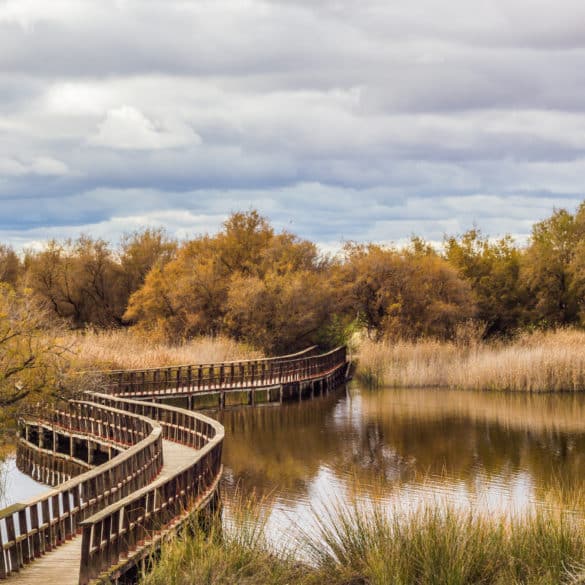 Parque Nacional Tablas de Daimiel