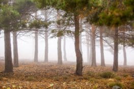 Imprescindibles que hacer en Andalucía este otoño