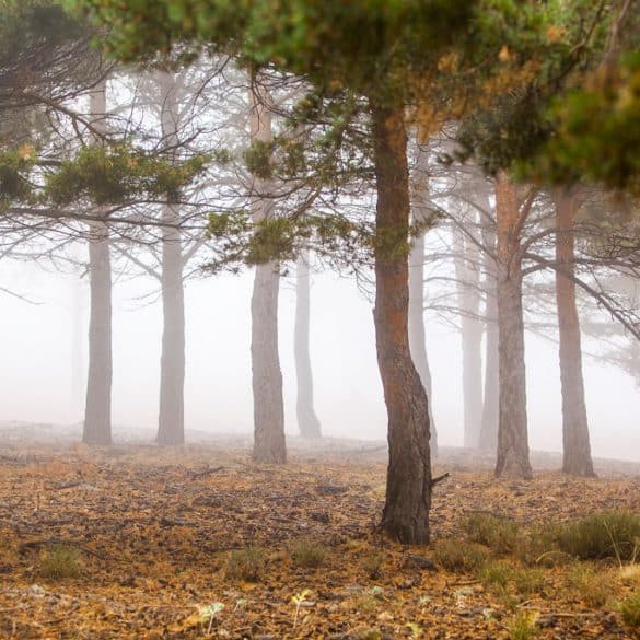 Sierra Nevada en otoño en Andalucía