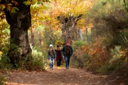 Los bosques más bonitos de Andalucía que visitar este otoño