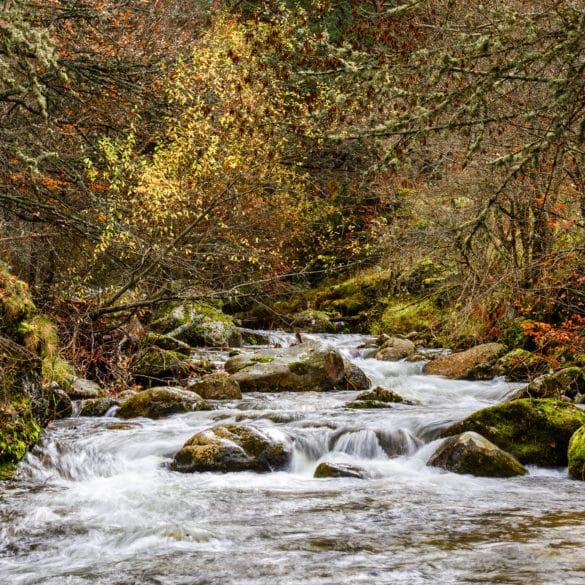 Parque Natural Sierra Cebollera