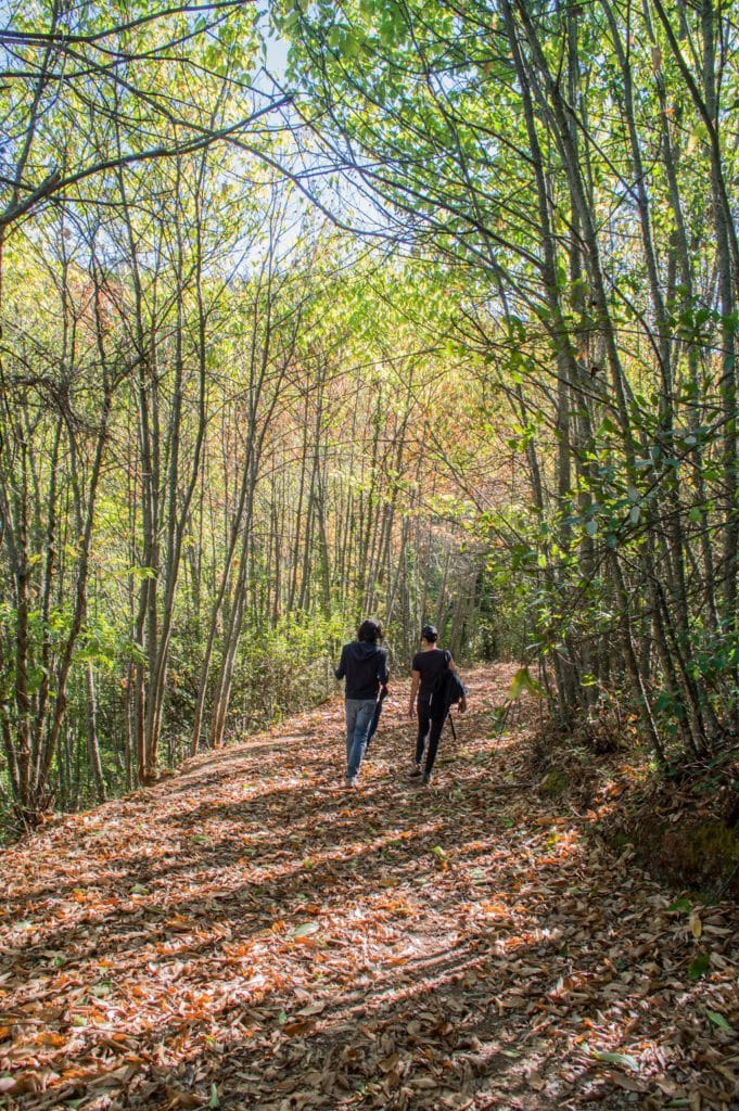 Postales de otoño en Cazalla de la Sierra