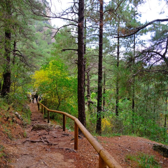 Sierra del Segura en octubre