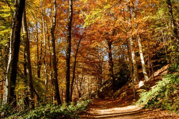 Montseny, Cataluña