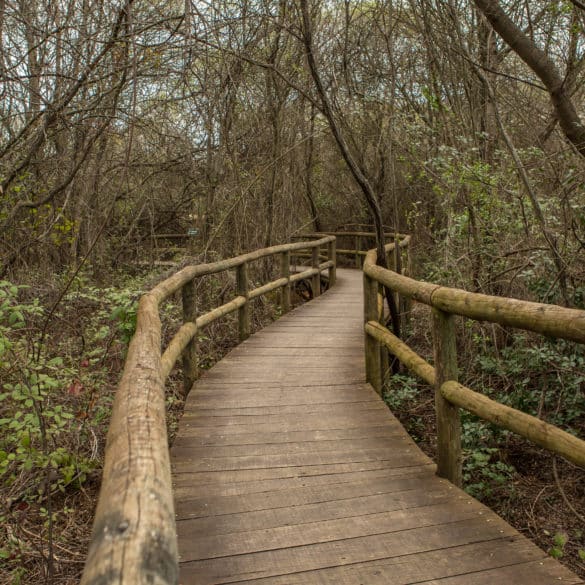 Parque Nacional de Cabañeros