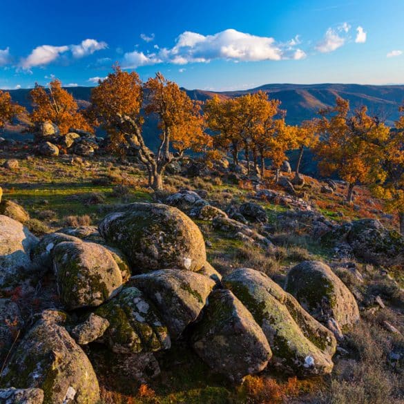 Valle de Ambroz, otoño en Extremadura