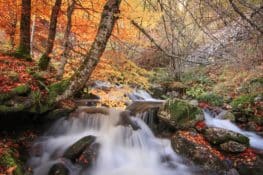 Planes para una escapada rural en otoño en La Rioja