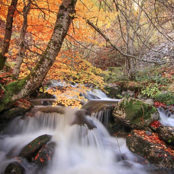 La Rioja, Sierra de la Demanda