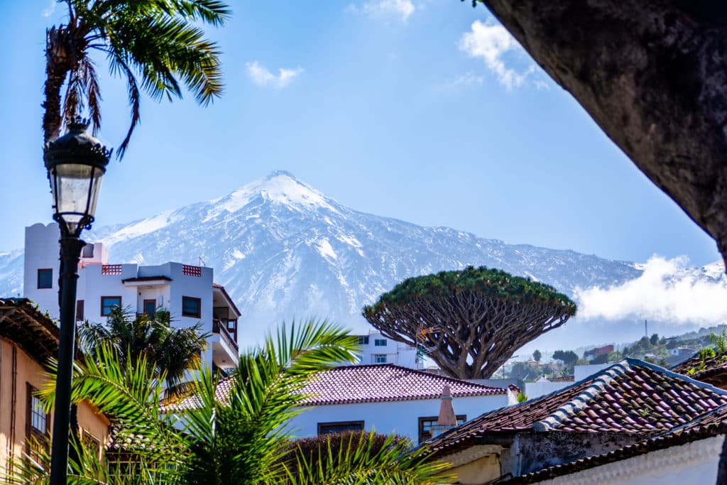 Icod de los vinos, Drago milenario y Teide. Por Seakitten