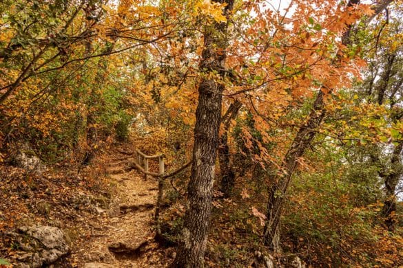 Planes para una escapada rural en otoño en la Comunidad Valenciana