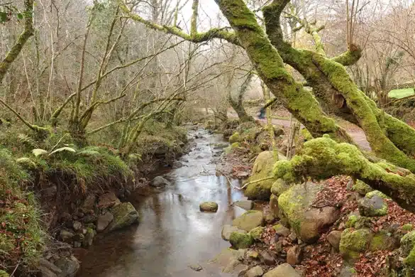 Ruta del Hayacorva, un paseo por el Parque Natural Saja-Besaya de Cantabria