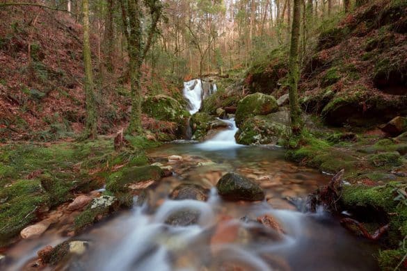 Planes para una escapada rural en otoño en Galicia