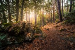 Planes para una escapada rural en otoño en Aragón