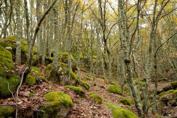 10 planes para disfrutar del otoño en Extremadura