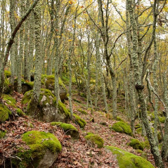 Otoño en Extremadura