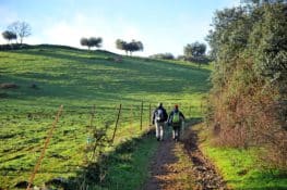 Rutas para hacer en Badajoz este otoño