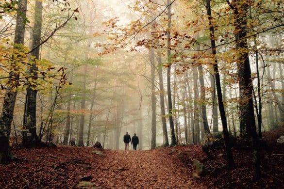 Las 5 mejores postales otoñales para una escapada rural increíble