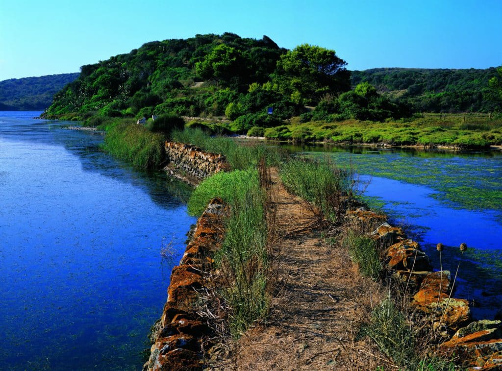 Albufera des Grau. Por Jaume Capellà, Newlink Spain. Espacios naturales protegidos en Baleares