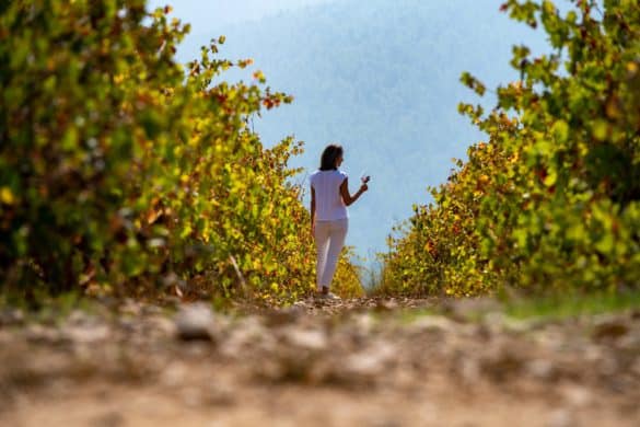 Experiencias jubilares para ‘foodies’ en la Región de Murcia