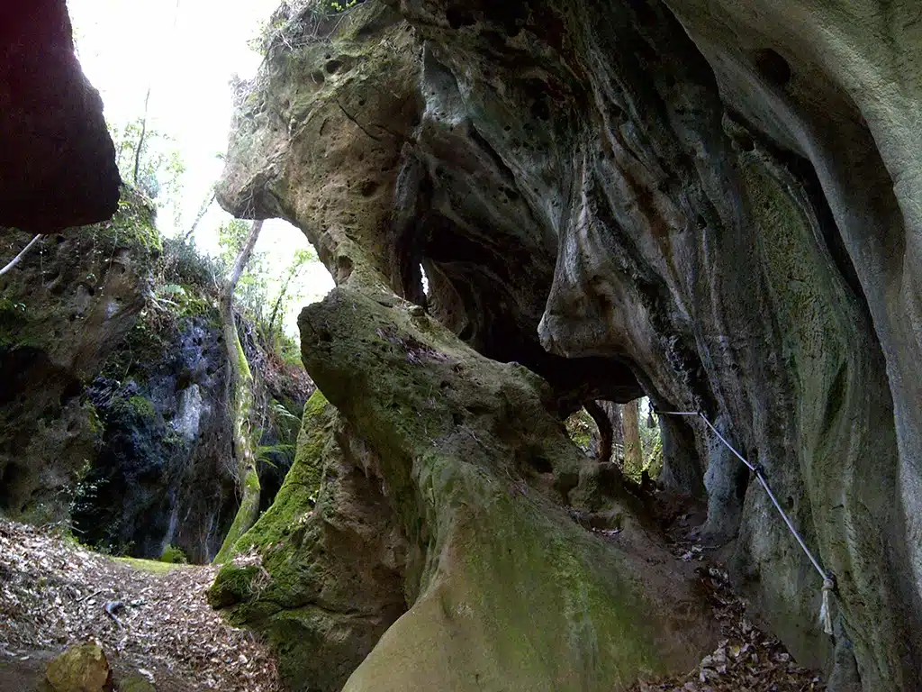 Cuevas de Andina (Asturias)