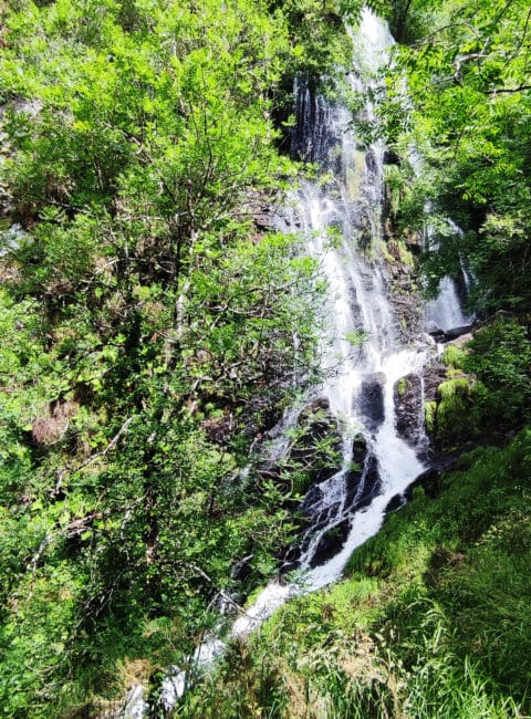 Qué ver en Asturias: Cascada de A Seimeira