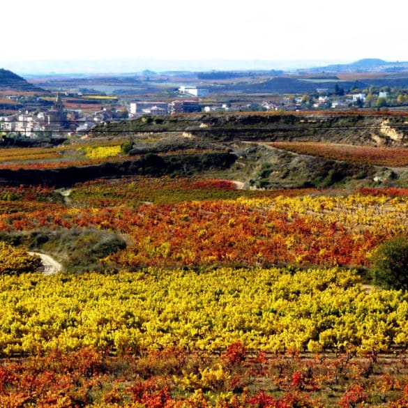 La Rioja