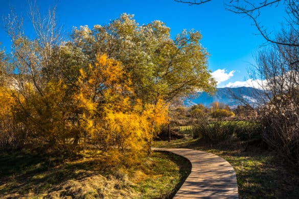 Caminando entre mamuts: las 3 rutas prehistóricas de Padul