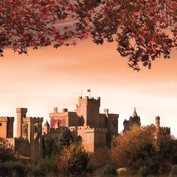 Castillo de Olite