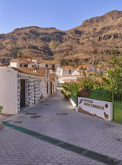 Fataga. Por: Roberto Iván Cano - Turismo de Islas Canarias