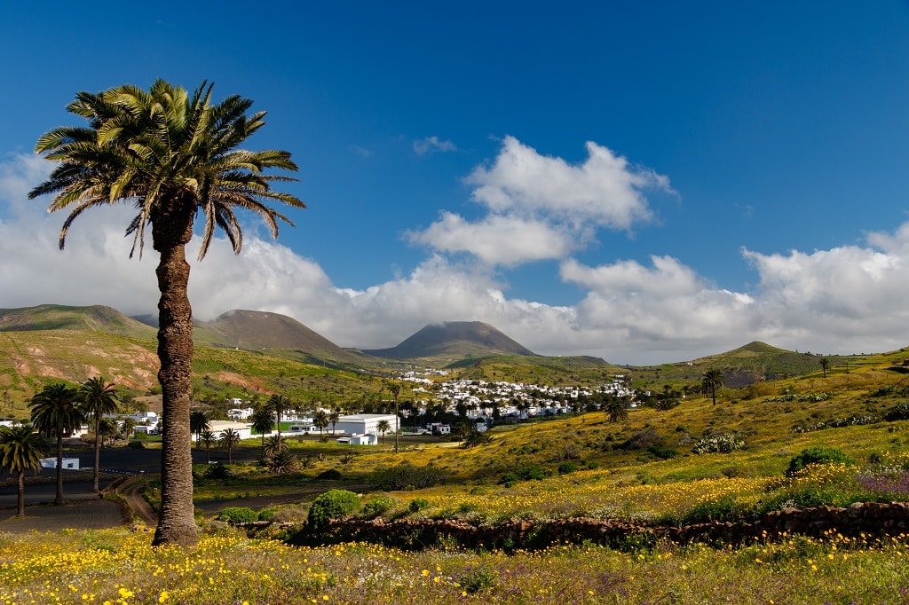 Haría, Lanzarote