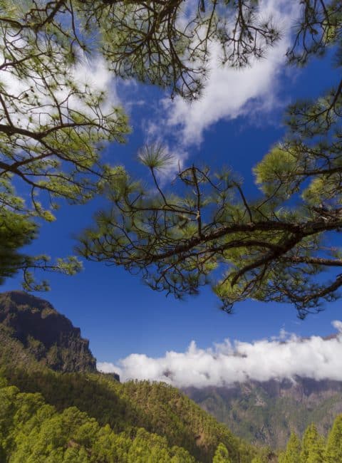 Taburiente, La Palma