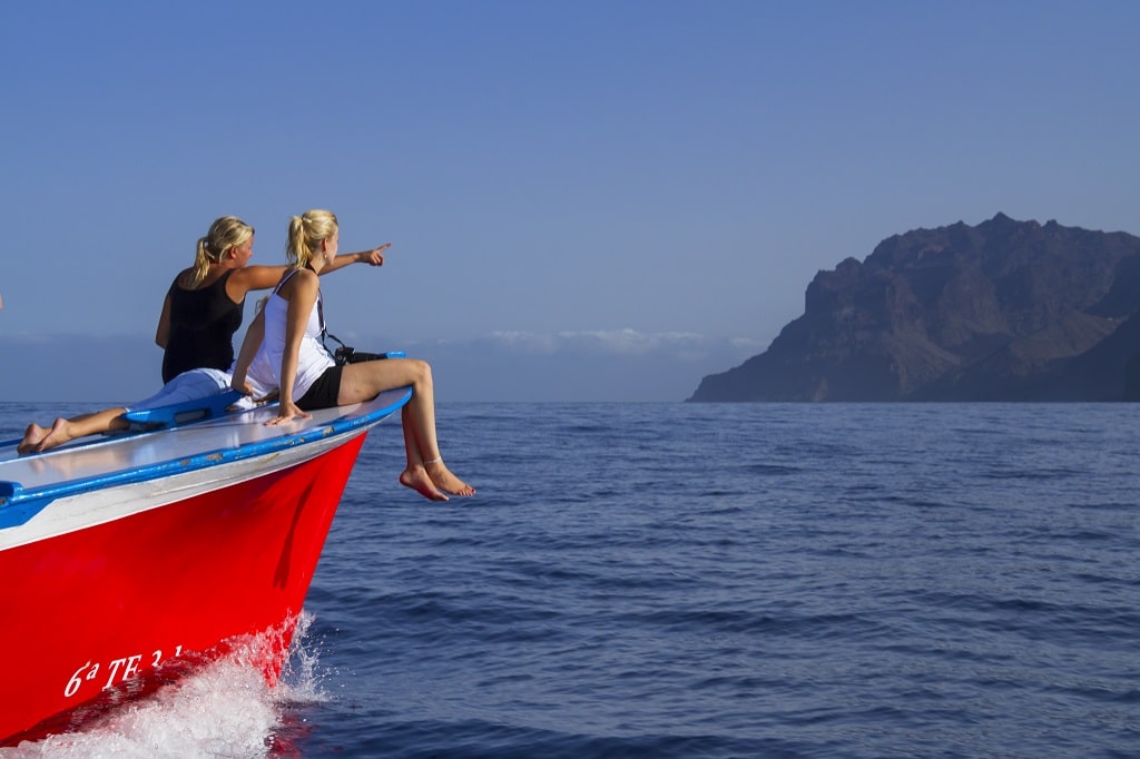 Avistamiento de cetáceos en La Gomera